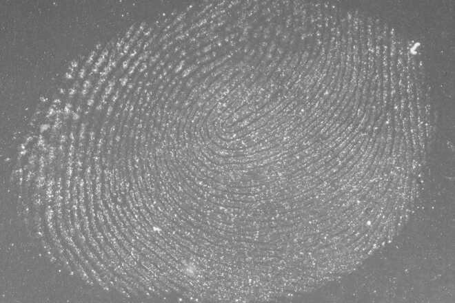 Cyanoacrylate-treated fingerprint on plastic, captured with 365 nm excitation with UV-cut filter image
