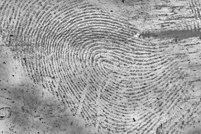 Untreated fingerprint captured directly from a glass surface. Multiple images with various illumination were combined with HDR algorithm and further processed. image